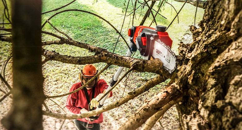 Man cutting branch with pole saw